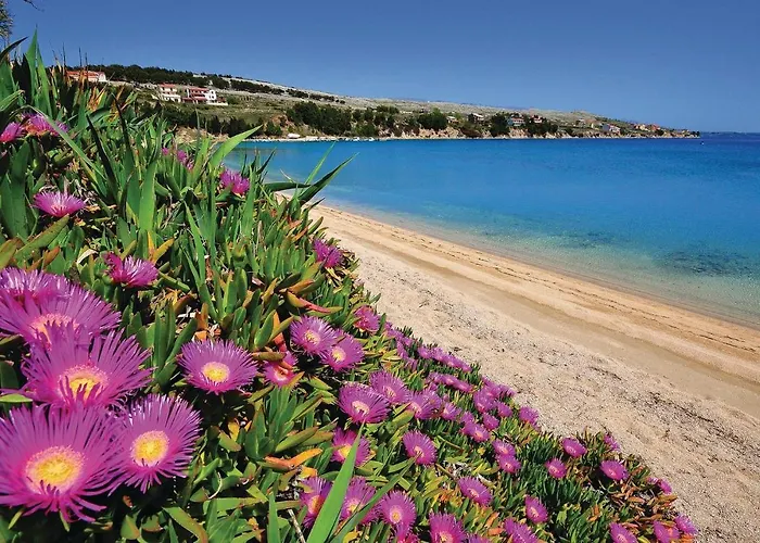 1 Bedroom Pet Friendly In Pag